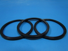 Silicone o ring